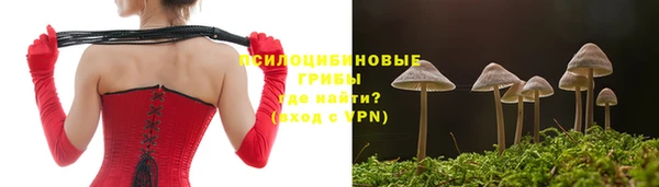 герыч Бородино