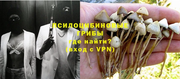 прущие крисы Белоозёрский