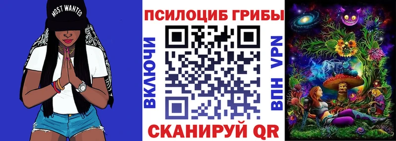 сколько стоит  Верхняя Тура  Псилоцибиновые грибы прущие грибы 